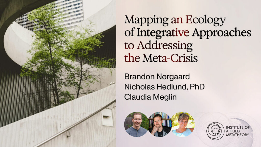 Mapping an Ecology of Integrative Approaches to Addressing the Metacrisis